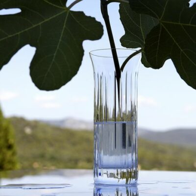 flora-vase-biseau-Baccarat