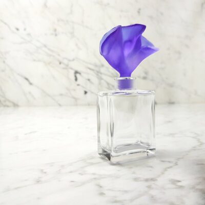 Arum-Daum-France