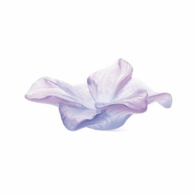 coupe-amaryllis-fleur-mauve-daum