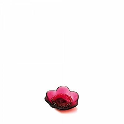coupelle-anemone-rouge-lalique