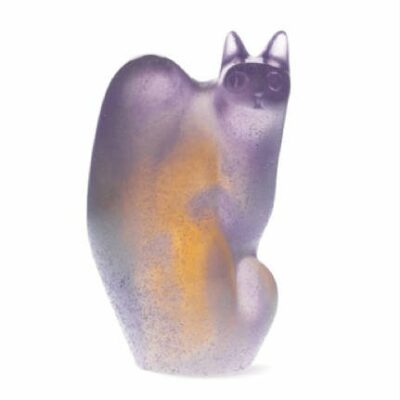 Chat-perche-violet-daum