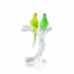 couple-perruches-cristal-daum (1)