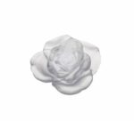 rose-blanche-daum