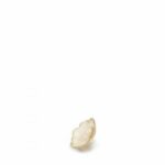 anemone-sculpture-small-size-lalique