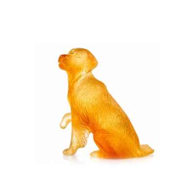 chien-golden-daum-france