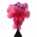 panoptes-fuchsia-georges-saulterre-daum
