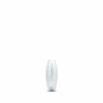 Lalique-vibration-oblong-lamp