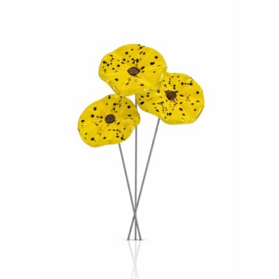 Coffret printemps pm fleurs d’extérieurs X3 jaune
