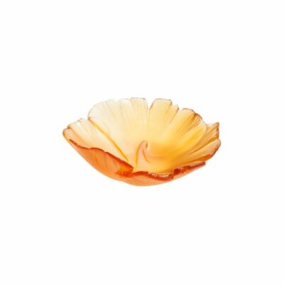 Coupelle-ambre-Ginkgo-Daum
