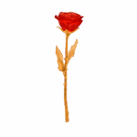 Rose-eternelle-rouge-05590