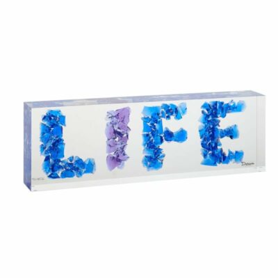 Life-Woleck-Bollie-Daum