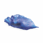 coupe-numerotee-arum-Daum