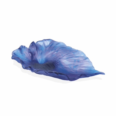 coupe-numerotee-arum-Daum