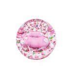 presse papier 2019 cochon saint louis
