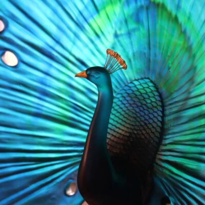 paon-cristal-daum