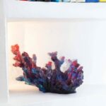 mer-de-corail-daum