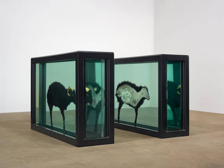 damien-hirst-formol-brebis-2