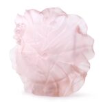camelia-rose-daum