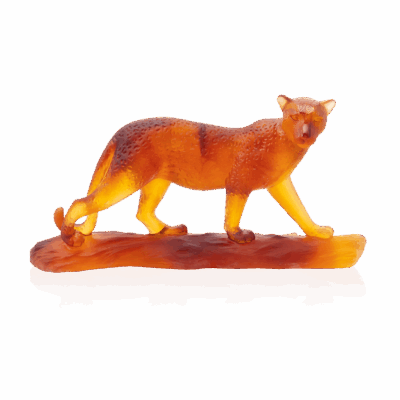 leopard-daum-ambre