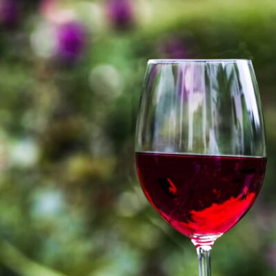 Le guide du Gamay, cépage des vins de la Loire 9 liste-cepage-rouge