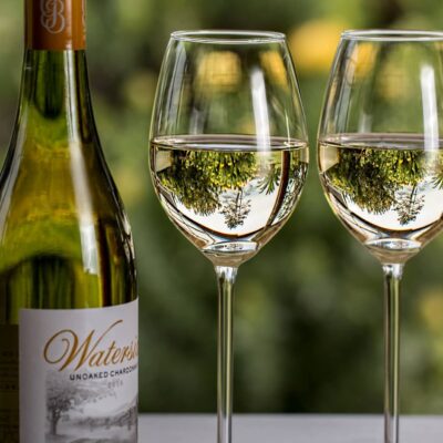 Le guide du Riesling, cépage des vins d'Alsace 16 meilleur-vin-blanc-guide