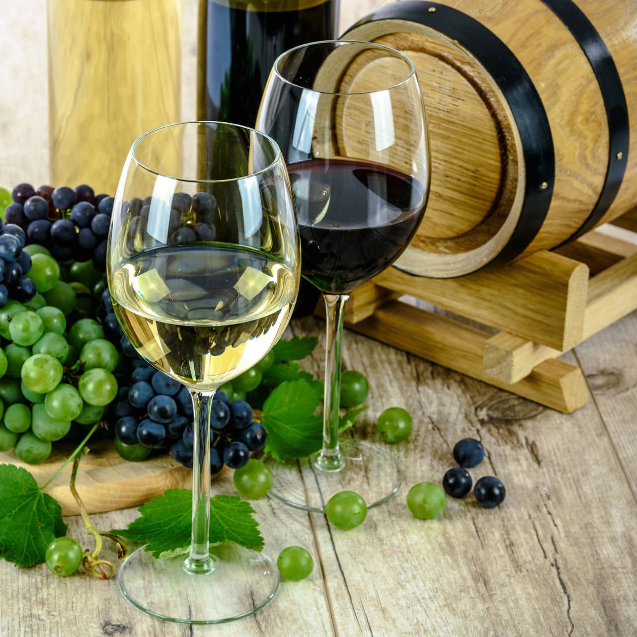 cepage-le-vermentino