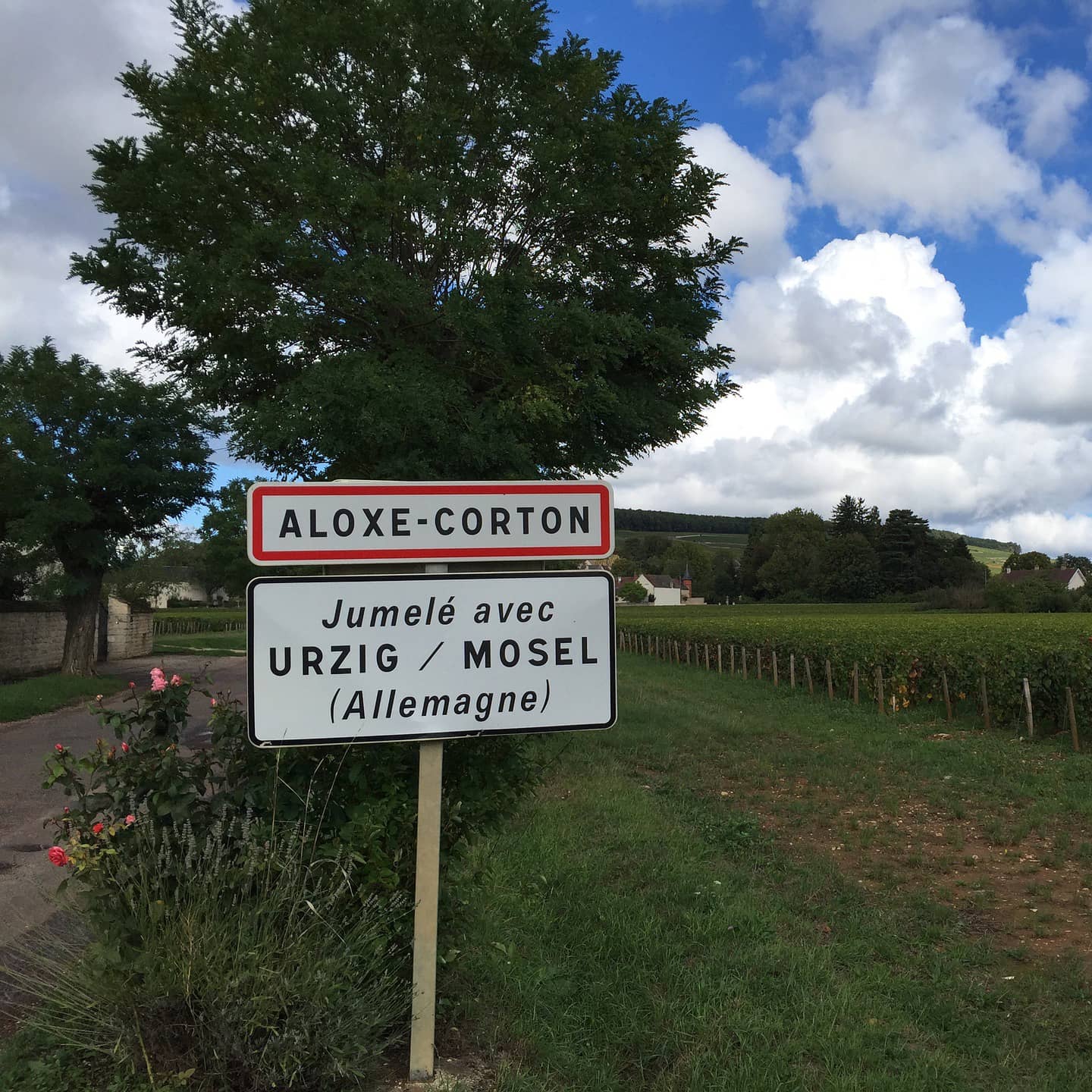 grands-vins-bourgogne
