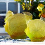 citrus-daum-2024