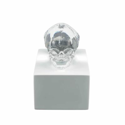 eternal-Memory-crane-cristal-incolore-lalique