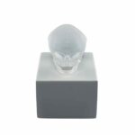 eternal-Memory-crane-cristal-incolore-satine-lalique