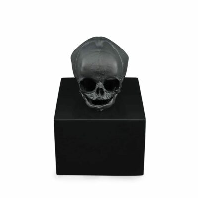 eternal-Memory-crane-cristal-noir-lalique