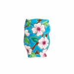chouette-faience-emaux-de-longwqy-Apple-Blossom