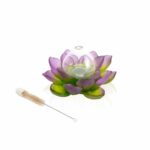 Vase soliflore Vert Rose Jardin de lotus Daum