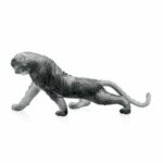 tigre-bengale-gris-daum-magnum