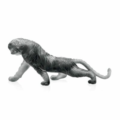 tigre-bengale-gris-daum-magnum