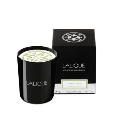 bougie-lalique-osmanthus-himalaya